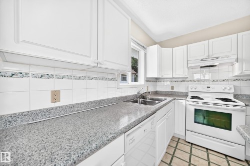 11045 125 Street Nw, Edmonton, AB - Indoor Photo Showing Kitchen With Double Sink