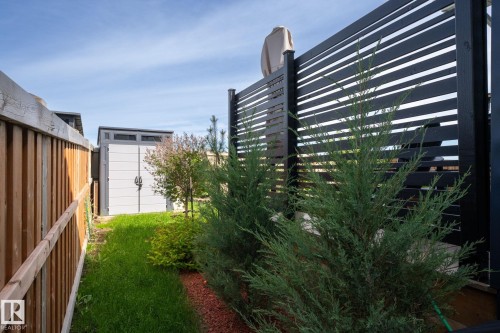 Landscaped garden bed with red mulch, mature evergreen shrubs, and a built-in privacy fence - 45 Evermore Crescent, St. Albert, AB - Outdoor