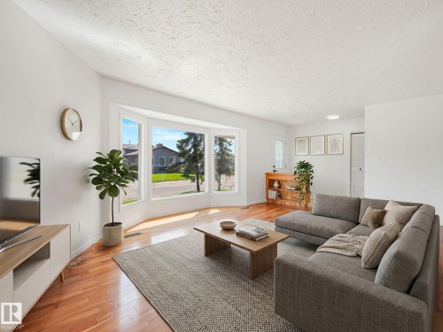 11616 158 Avenue Nw, Edmonton, AB - Indoor Photo Showing Living Room