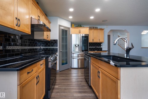 16820 57 Street Nw, Edmonton, AB - Indoor Photo Showing Kitchen With Double Sink
