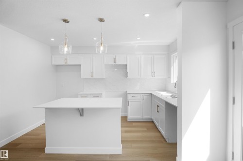 19455 22 Avenue Nw, Edmonton, AB - Indoor Photo Showing Kitchen With Upgraded Kitchen