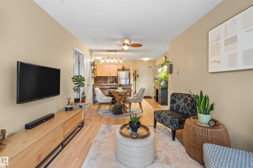 Open-concept living area featuring wood-finish flooring - #209 103 Ambleside Drive Sw, Edmonton, AB - Indoor Photo Showing Living Room