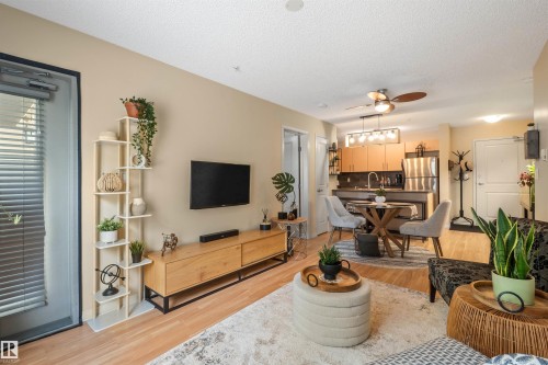 Open-concept living space featuring wood-finish flooring, a contemporary ceiling fan, and a kitchen with stainless steel appliances - #209 103 Ambleside Drive Sw, Edmonton, AB - Indoor Photo Showing Living Room