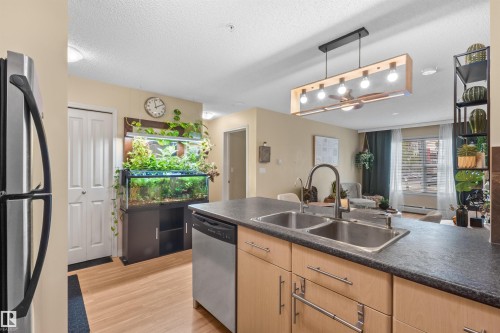 Kitchen island with double basin sink, light wood-finish cabinetry, and stainless steel dishwasher - #209 103 Ambleside Drive Sw, Edmonton, AB - Indoor Photo Showing Kitchen With Double Sink