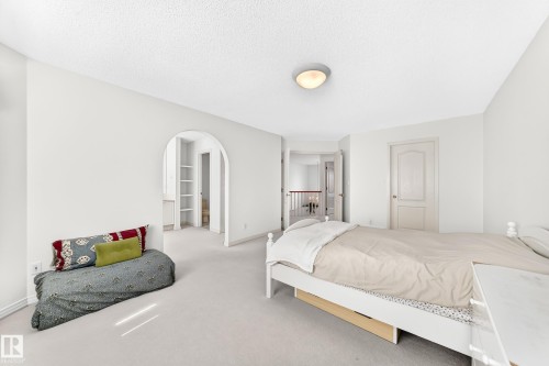 Arched doorway, built-in shelving, neutral wall color, carpet flooring, flush mount ceiling light - 209 Carmichael Close Nw, Edmonton, AB - Indoor Photo Showing Bedroom