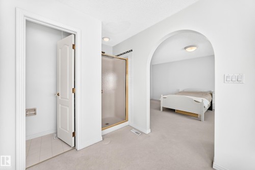 Archway entry with a built-in shower stall featuring a bronze-finish frame, textured glass, and a tiled shower base - 209 Carmichael Close Nw, Edmonton, AB - Indoor