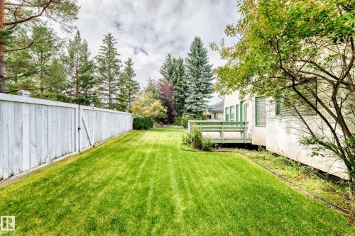 Expansive lawn area bordered by a tall white fence and mature trees - 209 Carmichael Close Nw, Edmonton, AB - Outdoor