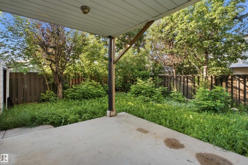 Covered concrete patio with wooden support beam, bordered by a wooden fence and dense foliage - 3432 Hill View Crescent Nw, Edmonton, AB - Outdoor With Deck Patio Veranda