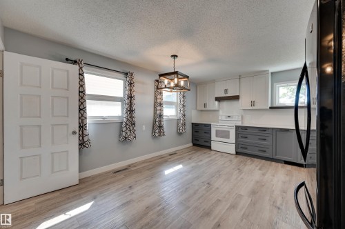 16231 96 Avenue Nw, Edmonton, AB - Indoor Photo Showing Kitchen