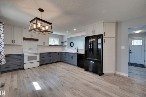 16231 96 Avenue Nw, Edmonton, AB - Indoor Photo Showing Kitchen