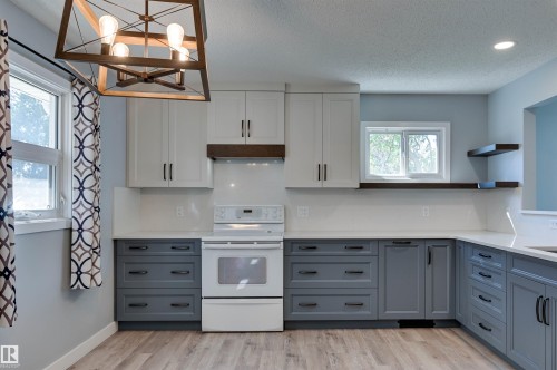16231 96 Avenue Nw, Edmonton, AB - Indoor Photo Showing Kitchen