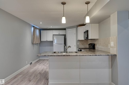 16231 96 Avenue Nw, Edmonton, AB - Indoor Photo Showing Kitchen With Double Sink