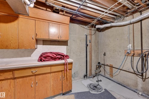 16231 96 Avenue Nw, Edmonton, AB - Indoor Photo Showing Basement