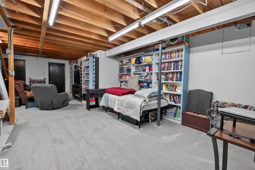 5219 55 Avenue, Mundare, AB - Indoor Photo Showing Basement