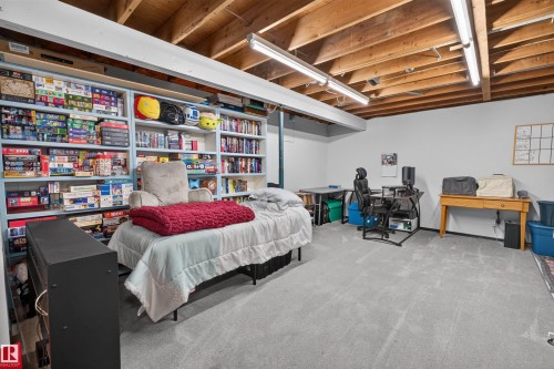 5219 55 Avenue, Mundare, AB - Indoor Photo Showing Basement