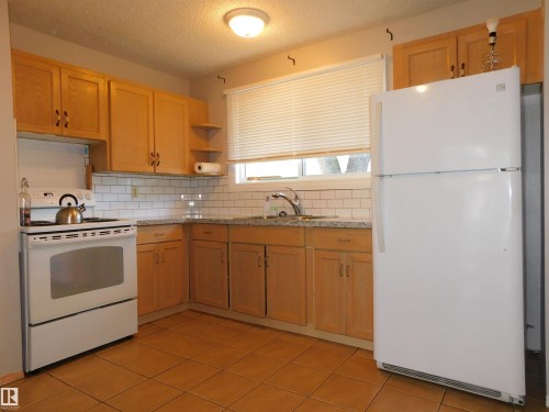 213 Habitat Crescent Nw, Edmonton, AB - Indoor Photo Showing Kitchen With Double Sink