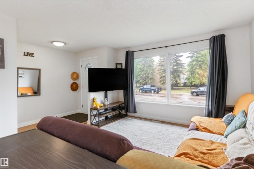 18045 96 Avenue Nw, Edmonton, AB - Indoor Photo Showing Living Room