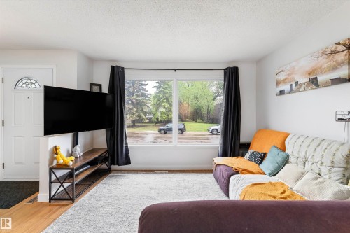 18045 96 Avenue Nw, Edmonton, AB - Indoor Photo Showing Living Room