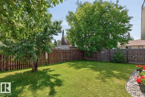 2408 80 Street Nw, Edmonton, AB - Outdoor With Backyard