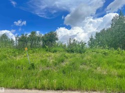 62 Coney Drive  Rural St. Paul County, AB T0A 3A0