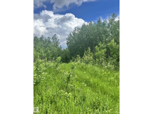 Expansive natural landscape with mature trees and lush green foliage - 62 Coney Drive, Rural St. Paul County, AB 