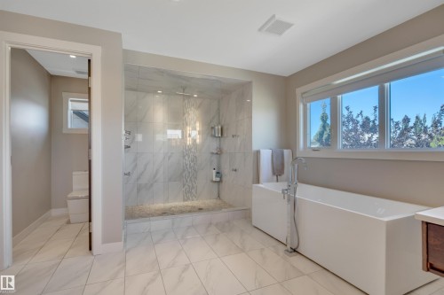 5047 Mcluhan Road Nw, Edmonton, AB - Indoor Photo Showing Bathroom