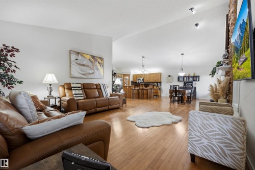 15552 49 Street Nw, Edmonton, AB - Indoor Photo Showing Living Room With Fireplace
