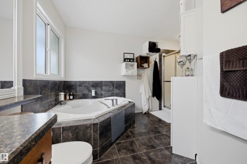 15552 49 Street Nw, Edmonton, AB - Indoor Photo Showing Bathroom