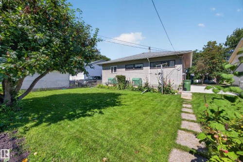 Expansive green lawn, mature shade tree, concrete paver pathway, and partial patio space - 5207 48 Avenue, Leduc, AB - Outdoor