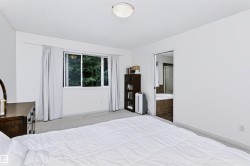 Recessed window with exterior scenery, carpet flooring, and ceiling-mounted light fixture - 