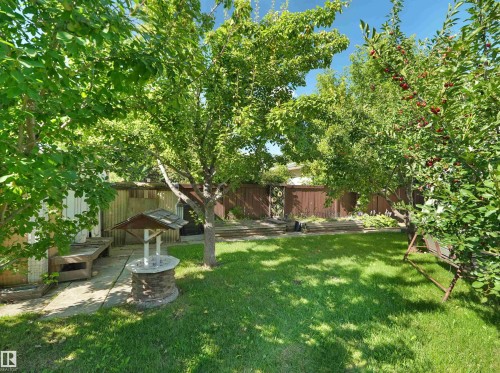Expansive backyard featuring a manicured lawn, established trees, and a stone-clad well feature - 7357 18 Avenue Nw, Edmonton, AB - Outdoor