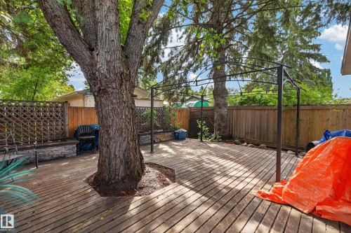 15 Linwood Crescent, St. Albert, AB - Outdoor With Deck Patio Veranda