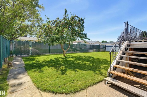 Expansive lawn with a mature tree, concrete pathway, and chain-link fencing - 6768 39 Avenue Nw, Edmonton, AB - Outdoor