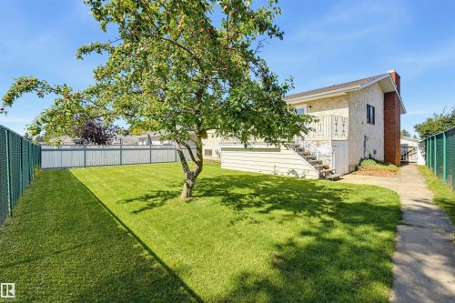 Expansive backyard with a manicured lawn, established tree, and concrete pathway - 6768 39 Avenue Nw, Edmonton, AB - Outdoor