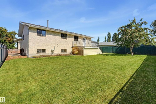 Expansive grassy yard with a mature tree - 6768 39 Avenue Nw, Edmonton, AB - Outdoor