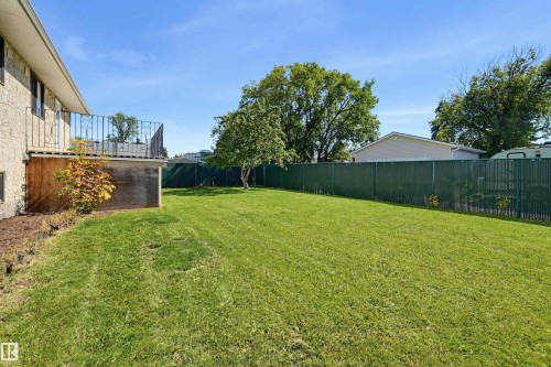 Expansive lawn area with mature trees and a chain-link fence - 6768 39 Avenue Nw, Edmonton, AB - Outdoor