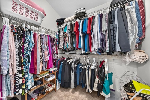 4904 214 Street Nw, Edmonton, AB - Indoor With Storage