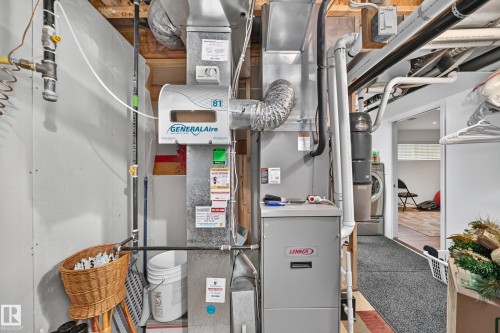 4904 214 Street Nw, Edmonton, AB - Indoor Photo Showing Basement