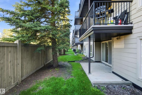 Ground-level patio with direct outdoor access, bordered by a privacy fence and mature evergreen trees - #117 17011 67 Av Nw, Edmonton, AB - Outdoor