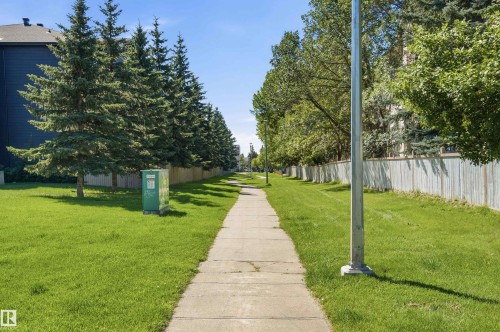Paved pathway bordered by manicured lawn and mature trees - #117 17011 67 Av Nw, Edmonton, AB - Outdoor