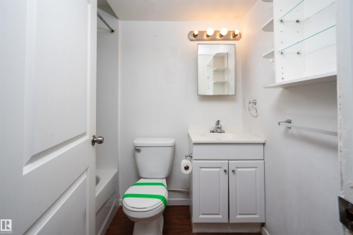 12919 66 Street Nw, Edmonton, AB - Indoor Photo Showing Bathroom
