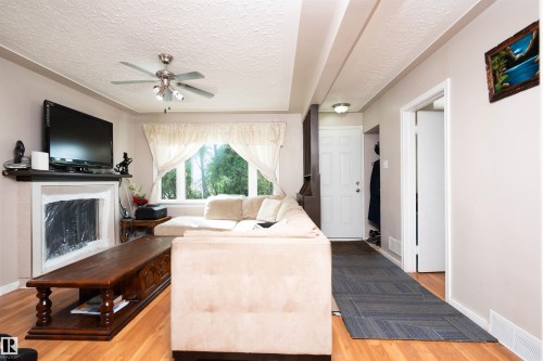 12919 66 Street Nw, Edmonton, AB - Indoor With Fireplace