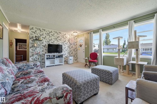 16112 108 Avenue Nw, Edmonton, AB - Indoor Photo Showing Living Room