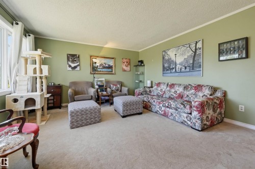 16112 108 Avenue Nw, Edmonton, AB - Indoor Photo Showing Living Room