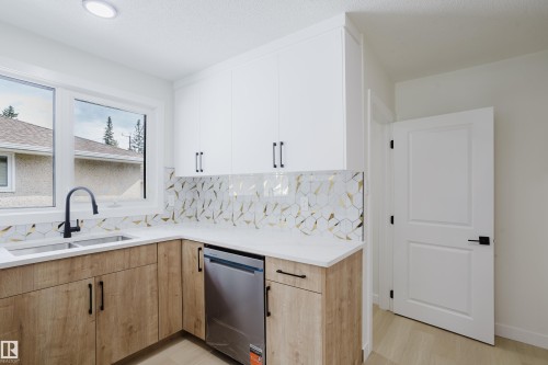 4103 111A Street Nw, Edmonton, AB - Indoor Photo Showing Kitchen With Double Sink