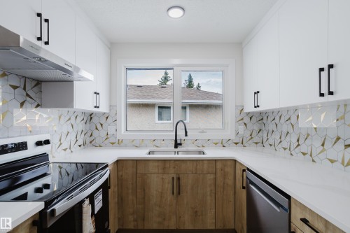 4103 111A Street Nw, Edmonton, AB - Indoor Photo Showing Kitchen With Double Sink