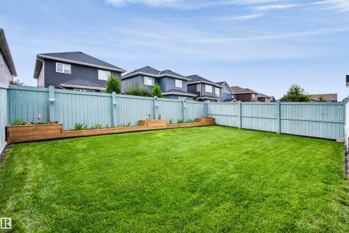 Expansive backyard featuring a manicured lawn, full perimeter fencing, and built-in wood planters - 16327 17 Avenue Sw, Edmonton, AB 