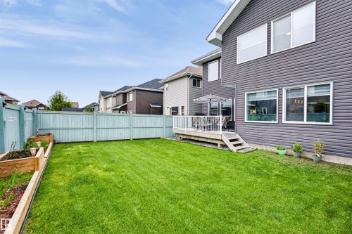 Expansive green lawn, light blue privacy fencing, and wood-finish raised garden beds - 16327 17 Avenue Sw, Edmonton, AB 