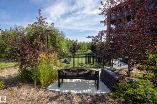 #312 7471 May Cm Nw, Edmonton, AB - Outdoor