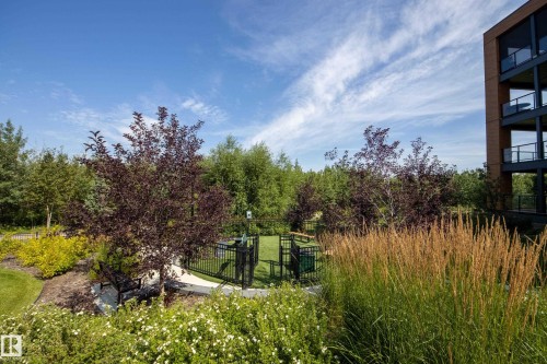 #312 7471 May Cm Nw, Edmonton, AB - Outdoor With Balcony